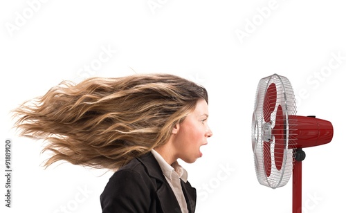 Картината върху платно Hot air