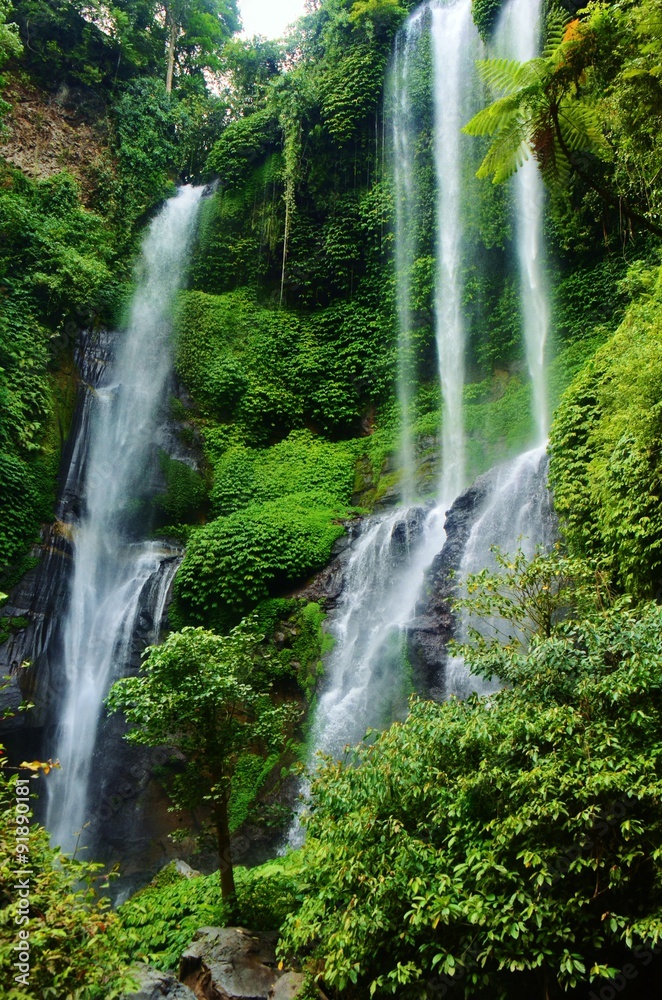 Waterfall in Jungle