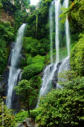 Waterfall in Jungle © olelia
