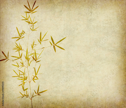 bamboo on old grunge paper texture background