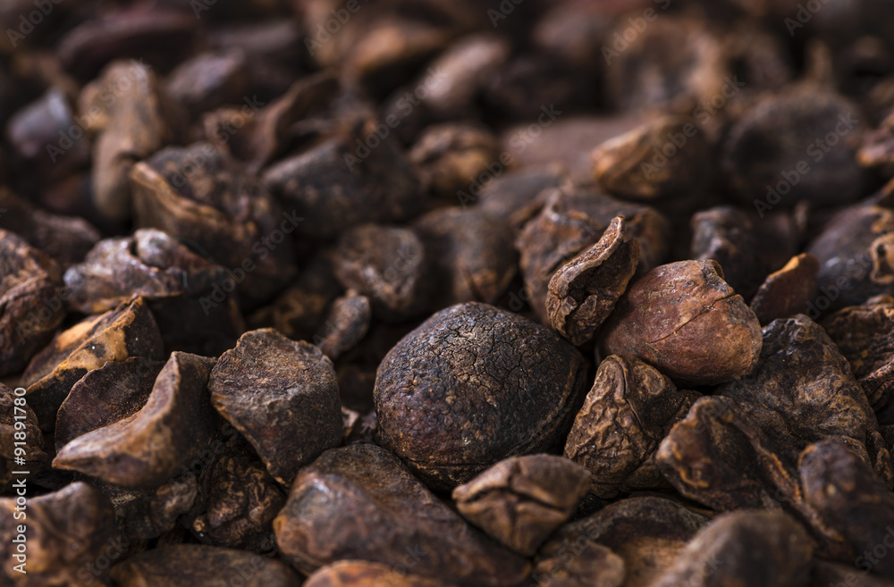 Whole Cola Nuts (background image) Whole Cola Nuts (background image)