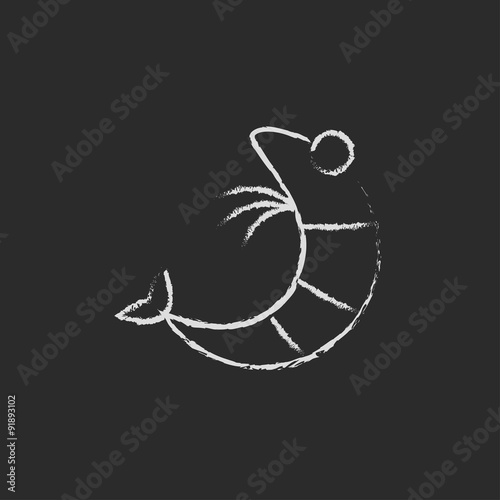Shrimp icon drawn in chalk.