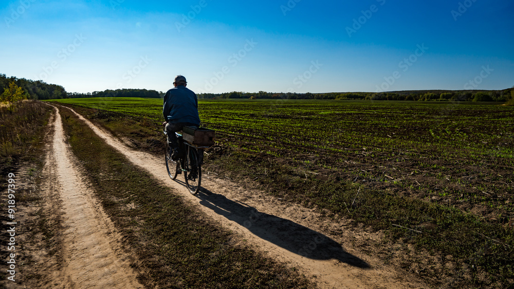 Elderly cyclist rides on rural road among fields, Russia