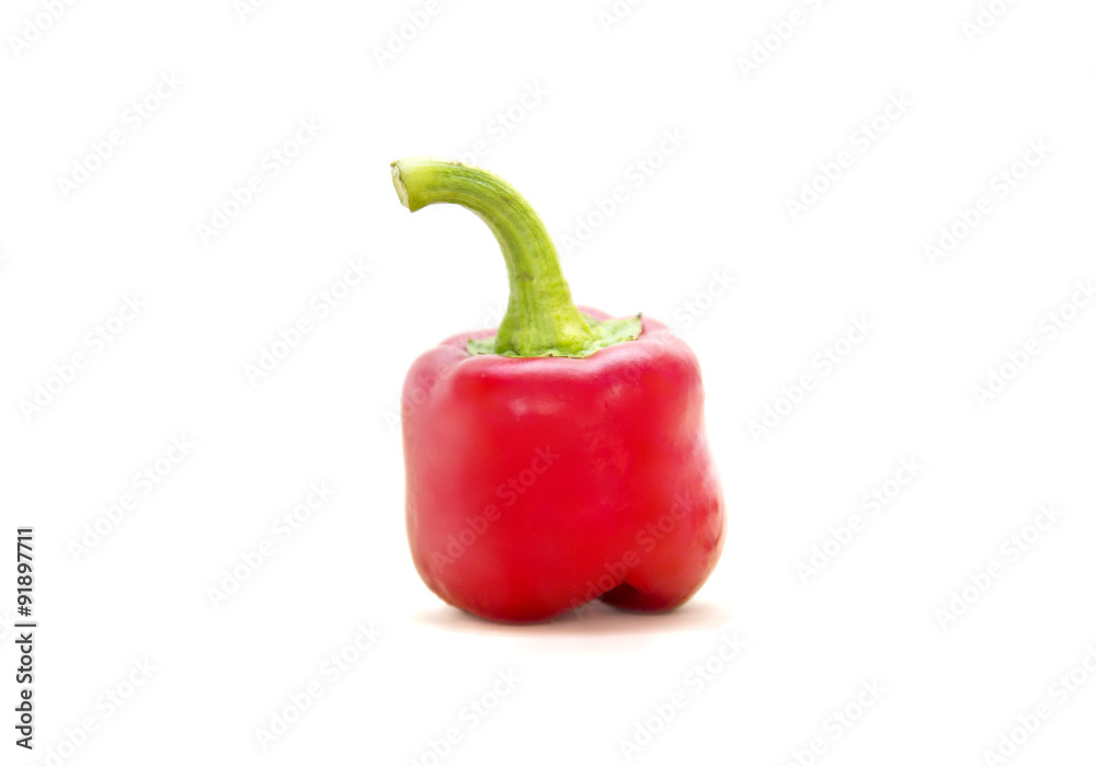 Single red pepper isolated on white background Single red pepper isolated on white background