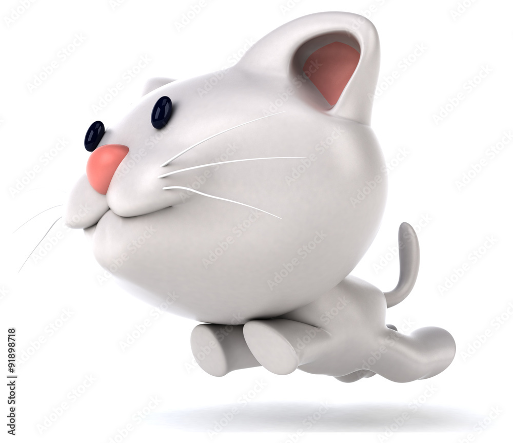 Obraz premium Fun cat