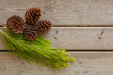 Pine cones and green branch on wood board