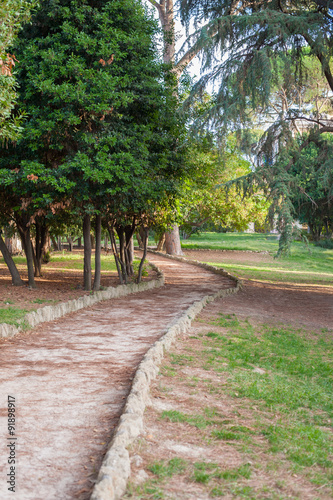 Fototapeta Naklejka Na Ścianę i Meble -  Stone path between green trees