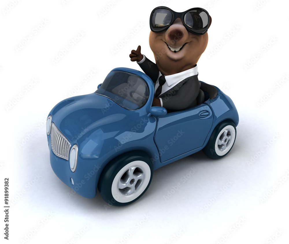 Fun bear Fun bear