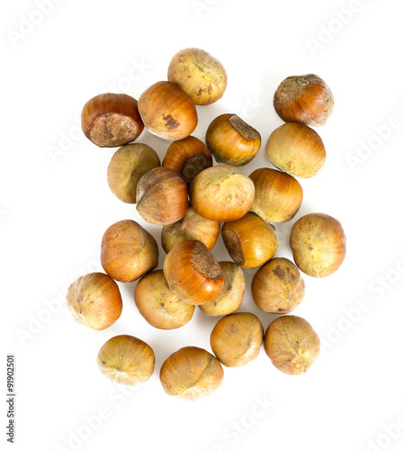 fresh hazelnuts isolated on white