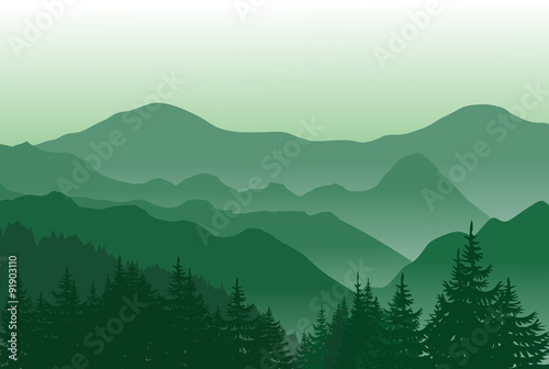 Beautiful green mountains. Summer landscape. © tanyadzu