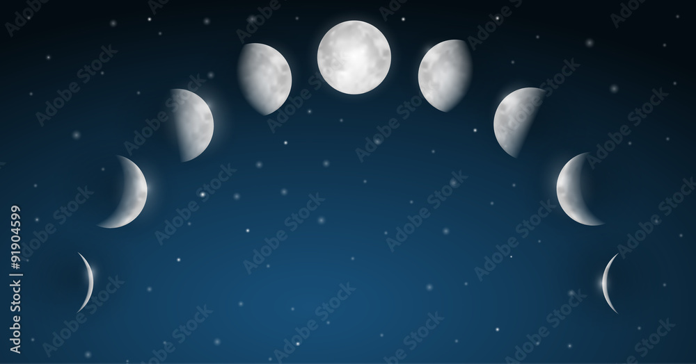 Moon Phases Vector