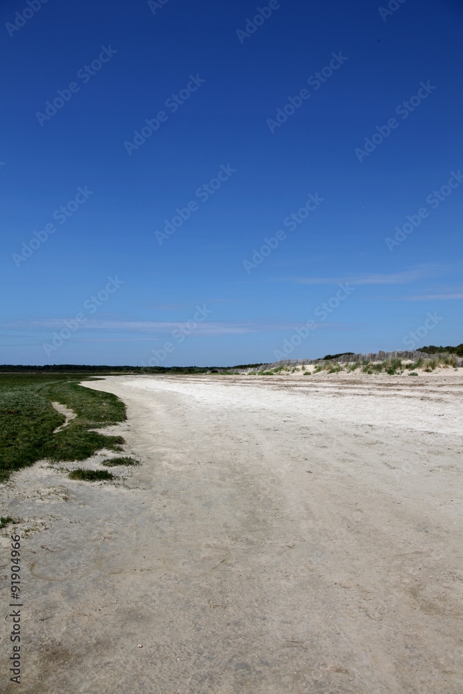 L'estran: Baie de la Somme,