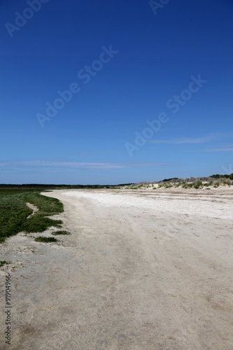 L'estran: Baie de la Somme,