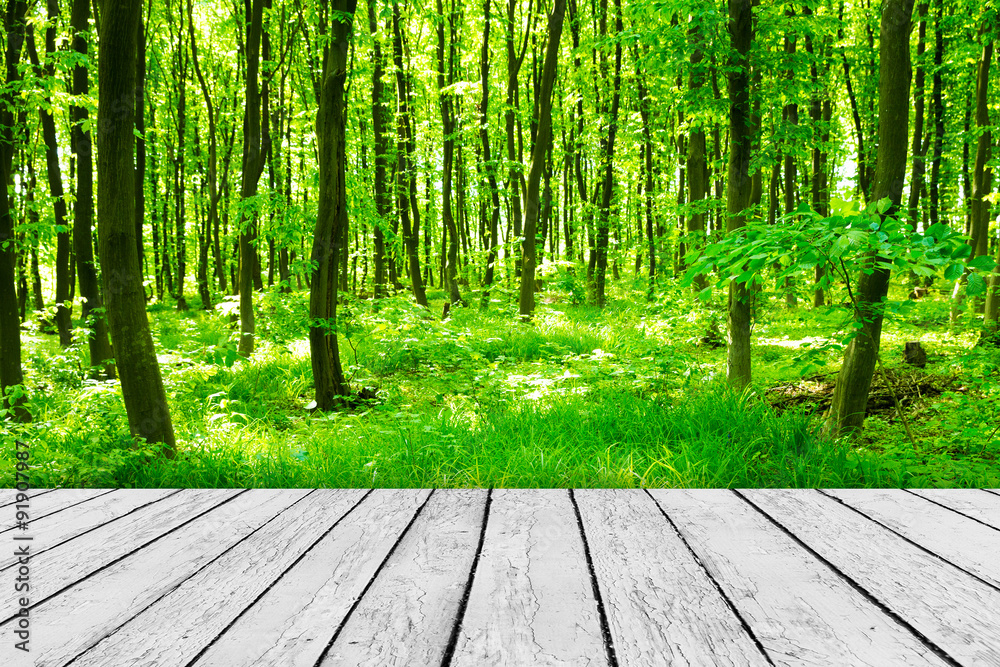 wood textured backgrounds in a room interior on the forest backg wood textured backgrounds in a room interior on the forest backg