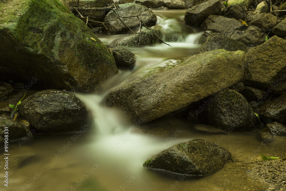 Fototapeta premium Bachlauf