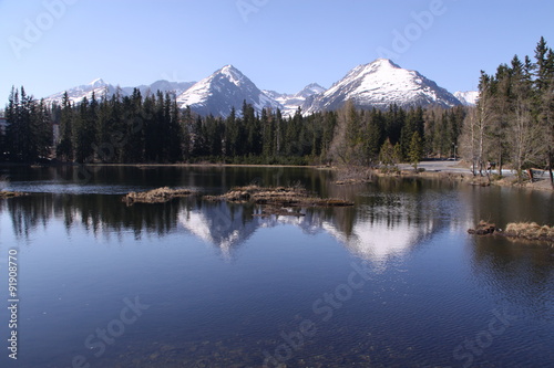 Mountain lake with forest on its shore