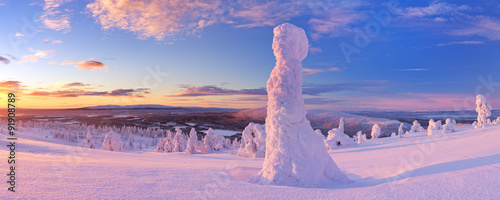 Sunset over frozen trees on a mountain, Levi, Finnish Lapland photo