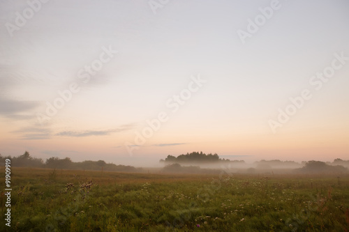 travel along the fog on the morning meadow