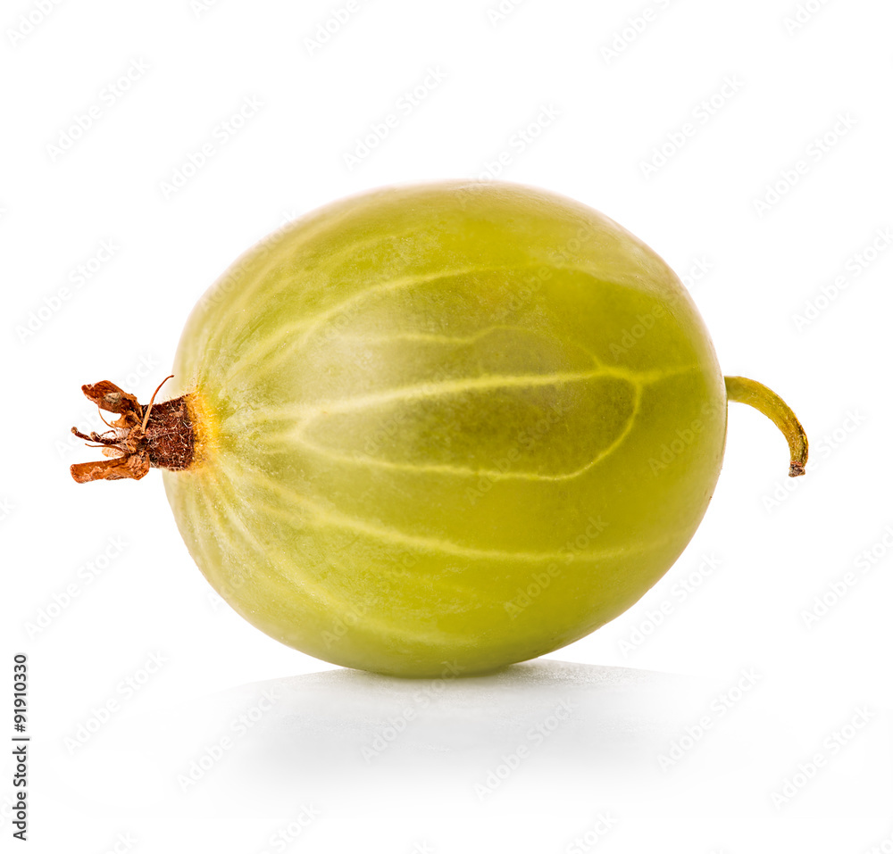 Gooseberry isolated on white background Gooseberry isolated on white background