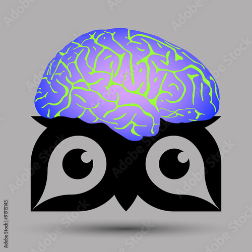 owl