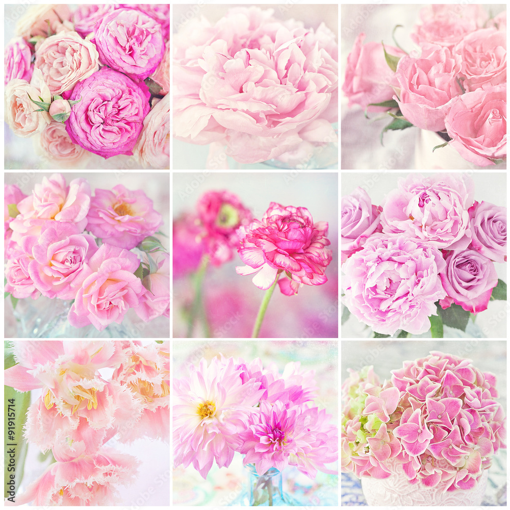 collage of a blooming pink flowers close-up. collage of a blooming pink flowers close-up.