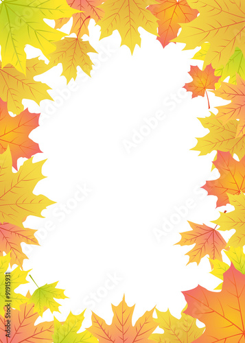 maple leaves frame