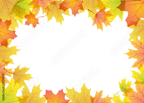 maple leaves frame