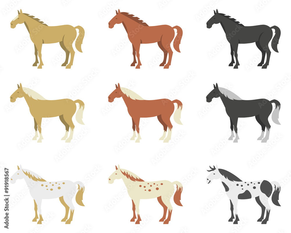 A set of horses of different breeds and color