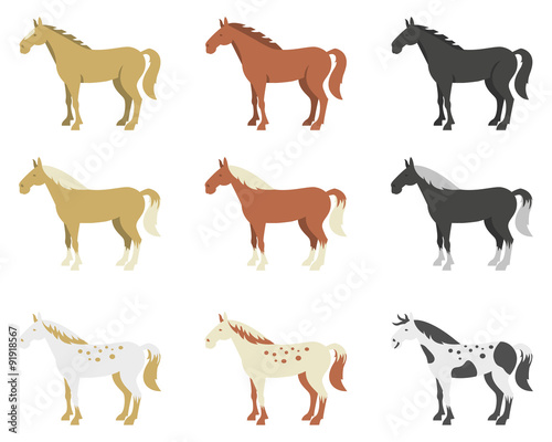 A set of horses of different breeds and color