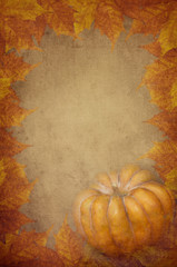 pumpkin and maple leaves