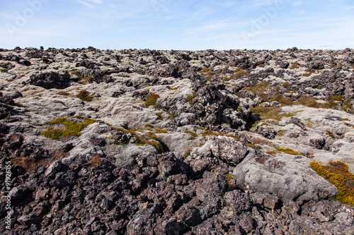 Moss covered lava field - Iceland © sasaperic
