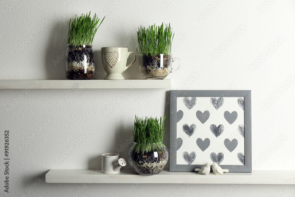 Fototapeta premium Transparent pots with fresh green grass on shelves