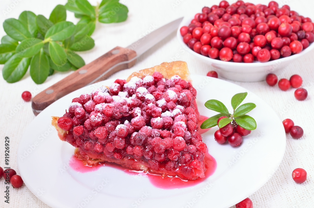 Piece of cowberry pie and powdered sugar on white plate Piece of cowberry pie and powdered sugar on white plate