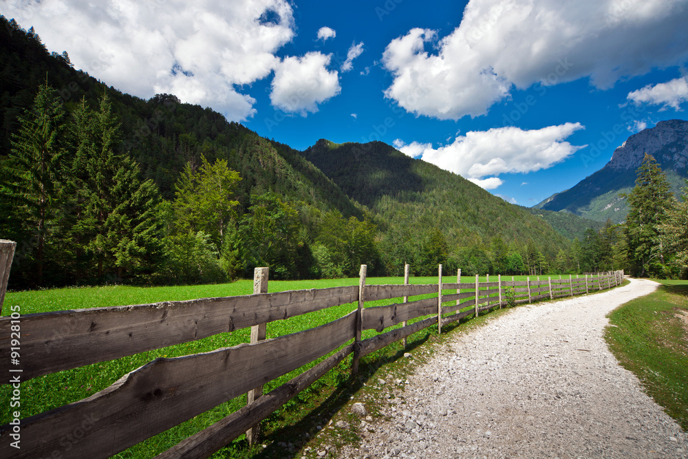 Pasture in Slovenian Alps and a dusty road
