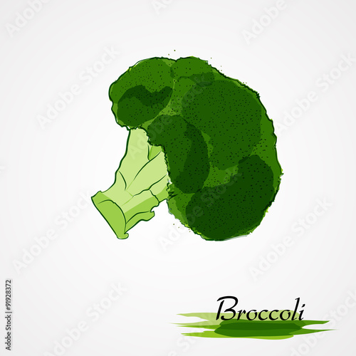 Hand drawn vector green broccoli vegetable on the light background