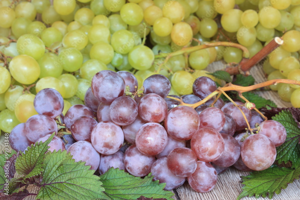 Obraz premium Rausin rouge et blanc