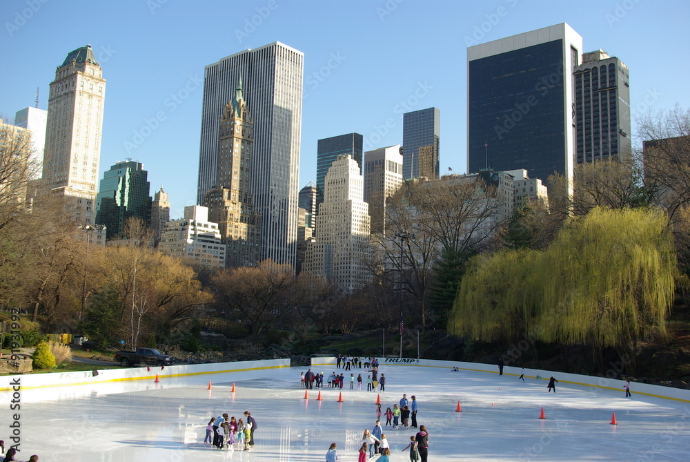 Obraz premium New York, patinage à Central Park