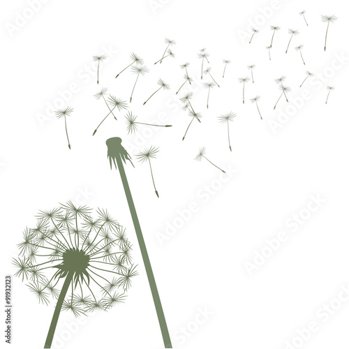 Green vector dandelions