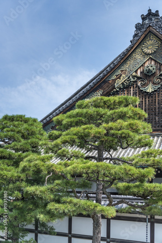 Japanese pine trees in front the apex of a traditional wooden building