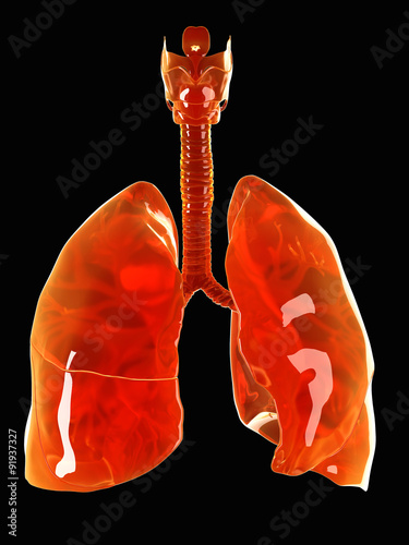 medically accurate illustration of a glass lung