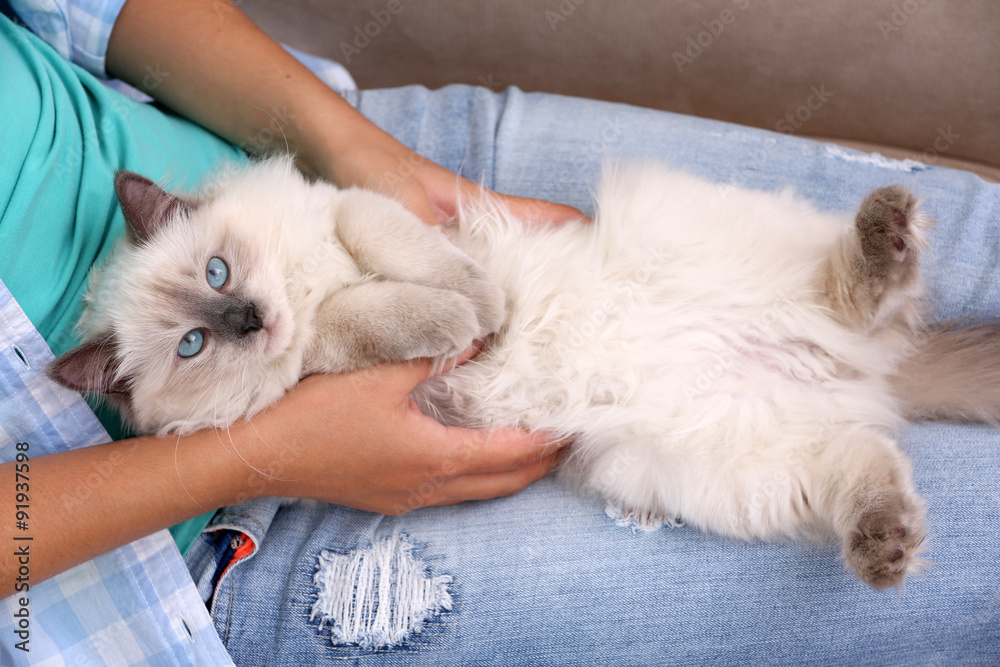 Young woman holding cat, close-up Young woman holding cat, close-up