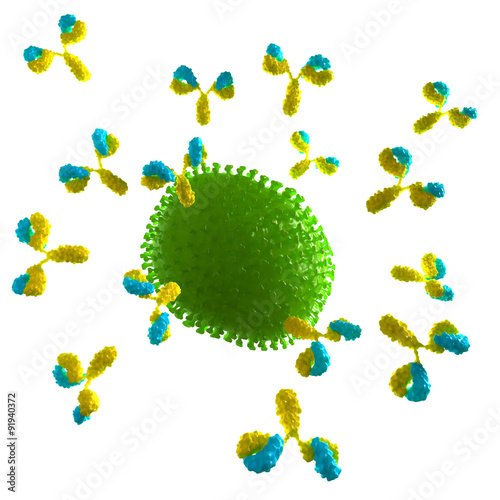 medically accurate illustration of a virus being attacked by antibodies photo