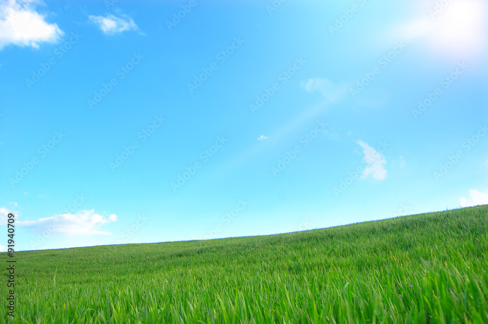 Bellissima collina verde con il sole che splende nel cielo azzurro