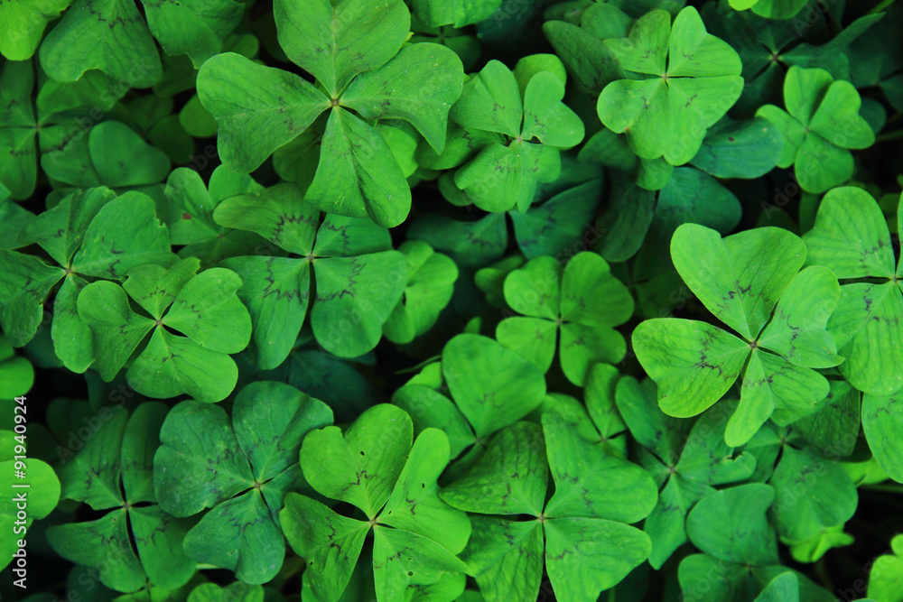 green natural background green natural background