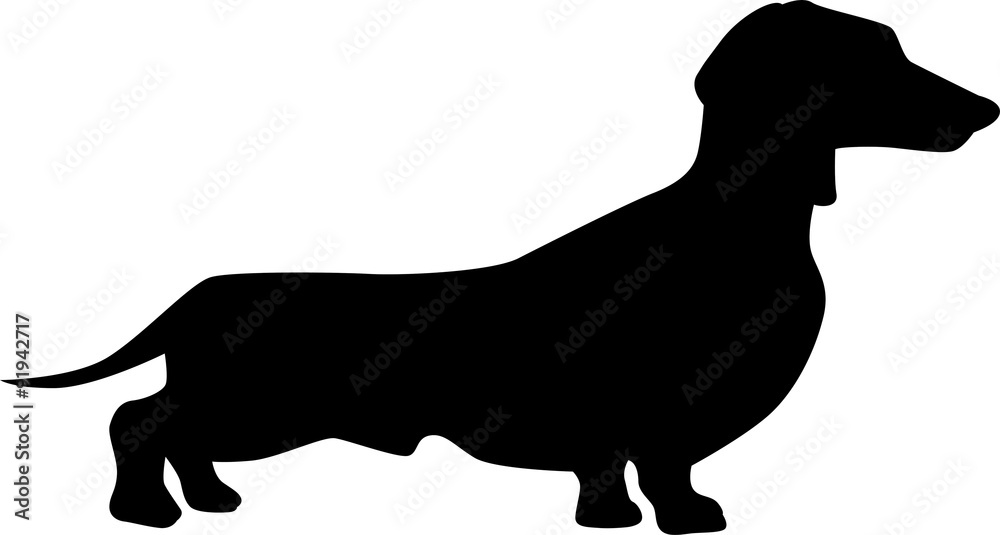 Dachshund dog silhouette