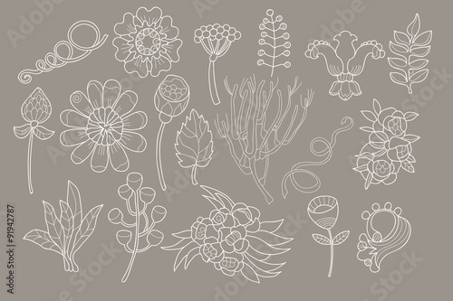 Colored  Doodles flower,decor elements set for hand sketched logo.For design template,invitations,logo.Vintage  wedding,Valentine day,holiday,birthday.Vector.Pastel color