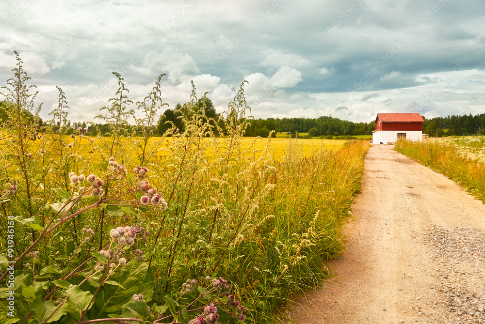 Countryside landscape in Vantaa