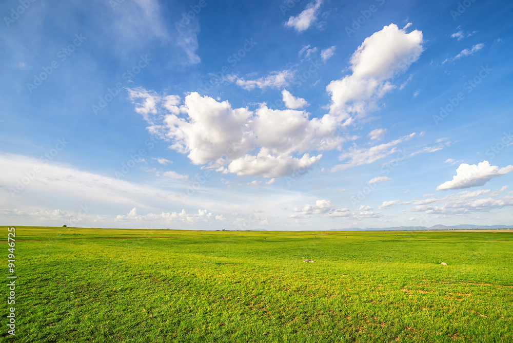 Blue sky and green grass field