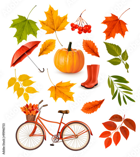 Set of colorful autumn leaves and objects. Vector illustration.