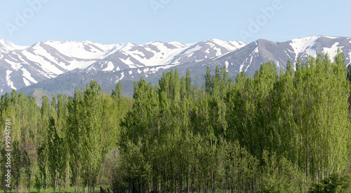 the snowy peaks of the Tien Shan Mountains. Kazakhstan © schankz